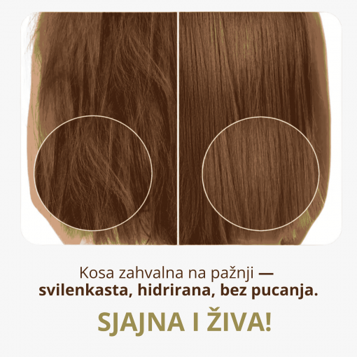 KEDROV gusti šampon-koncentrat za kosu i telo na bazi kedrovog ulja 300ml - Image 6